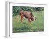 Young Bull in a Meadow, 1881-Edouard Manet-Framed Giclee Print