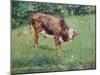 Young Bull in a Meadow, 1881-Edouard Manet-Mounted Giclee Print