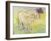 Young Bullocks in the Meadow, 1983-Brenda Brin Booker-Framed Giclee Print