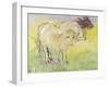 Young Bullocks in the Meadow, 1983-Brenda Brin Booker-Framed Giclee Print