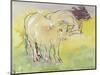 Young Bullocks in the Meadow, 1983-Brenda Brin Booker-Mounted Giclee Print