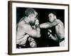 Young Cassius Clay Scores with a Left Against the Veteran Archie Moore in the First Round of the?-American Photographer-Framed Photographic Print