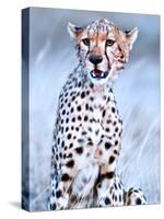 Young cheetah, 2019,-Eric Meyer-Stretched Canvas