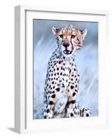 Young cheetah, 2019,-Eric Meyer-Framed Photographic Print