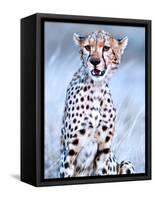 Young cheetah, 2019,-Eric Meyer-Framed Stretched Canvas