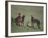 Young Cheetahs Practice Hunting-DLILLC-Framed Photographic Print