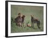 Young Cheetahs Practice Hunting-DLILLC-Framed Photographic Print