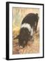 Young Chester White Pig-null-Framed Art Print