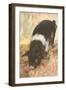 Young Chester White Pig-null-Framed Art Print