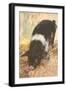 Young Chester White Pig-null-Framed Art Print