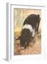 Young Chester White Pig-null-Framed Art Print