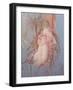 Young Child in Its Mother's Arms-Mary Cassatt-Framed Giclee Print