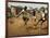 Young Children Play Soccer on a Dirt Pitch by the Side of Railway Tracks-null-Framed Photographic Print