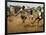 Young Children Play Soccer on a Dirt Pitch by the Side of Railway Tracks-null-Framed Photographic Print