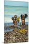 Young Children Playing with Seaweed, Ifaty, Tulear, Madagascar-Anthony Asael-Mounted Premium Photographic Print