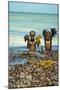 Young Children Playing with Seaweed, Ifaty, Tulear, Madagascar-Anthony Asael-Mounted Photographic Print