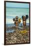 Young Children Playing with Seaweed, Ifaty, Tulear, Madagascar-Anthony Asael-Framed Photographic Print