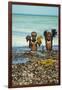 Young Children Playing with Seaweed, Ifaty, Tulear, Madagascar-Anthony Asael-Framed Photographic Print