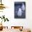 Young Chinstrap Penguin-DLILLC-Photographic Print displayed on a wall