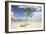 Young coconut palm tree establishing itself on an island, Fiji, Pacific-Don Mammoser-Framed Photographic Print