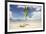 Young coconut palm tree establishing itself on an island, Fiji, Pacific-Don Mammoser-Framed Photographic Print