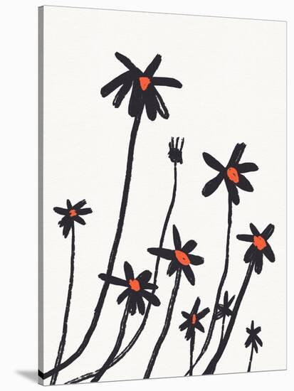 Young Coneflowers I-Jacob Green-Stretched Canvas