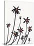 Young Coneflowers I-Jacob Green-Stretched Canvas