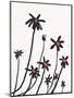 Young Coneflowers I-Jacob Green-Mounted Art Print