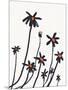 Young Coneflowers I-Jacob Green-Mounted Art Print