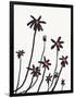 Young Coneflowers I-Jacob Green-Framed Art Print