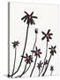 Young Coneflowers I-Jacob Green-Stretched Canvas