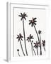 Young Coneflowers II-Jacob Green-Framed Art Print