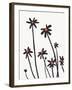 Young Coneflowers II-Jacob Green-Framed Art Print