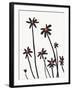 Young Coneflowers II-Jacob Green-Framed Art Print