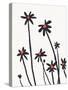 Young Coneflowers II-Jacob Green-Stretched Canvas
