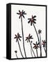 Young Coneflowers II-Jacob Green-Framed Stretched Canvas