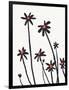 Young Coneflowers II-Jacob Green-Framed Art Print