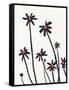 Young Coneflowers II-Jacob Green-Framed Stretched Canvas