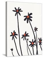 Young Coneflowers II-Jacob Green-Stretched Canvas