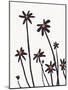 Young Coneflowers II-Jacob Green-Mounted Art Print