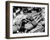 Young Couple Sleeps at their Campsite at the Watkin's Glen 'Summer Jam'-null-Framed Photo