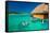Young Couple Snorkeling from Hut over Blue Tropical Lagoon-Martin Valigursky-Framed Stretched Canvas