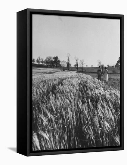 Young Couple Walking by a Grain Field-Ed Clark-Framed Stretched Canvas