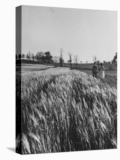 Young Couple Walking by a Grain Field-Ed Clark-Stretched Canvas