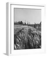 Young Couple Walking by a Grain Field-Ed Clark-Framed Photographic Print