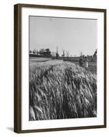 Young Couple Walking by a Grain Field-Ed Clark-Framed Photographic Print