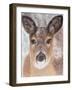 Young Deer in Winter, 2017-Margo Starkey-Framed Giclee Print