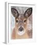 Young Deer in Winter, 2017-Margo Starkey-Framed Giclee Print