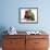 Young Eclectus Parrots, Female Left, Male Right, 12-Wks-Old-Jane Burton-Framed Photographic Print displayed on a wall