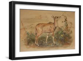 Young Eland-Joseph Wolf-Framed Giclee Print